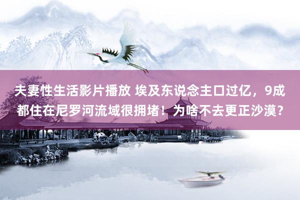 夫妻性生活影片播放 埃及东说念主口过亿，9成都住在尼罗河流域很拥堵！为啥不去更正沙漠？