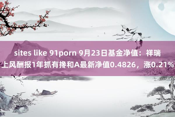 sites like 91porn 9月23日基金净值：祥瑞上风酬报1年抓有搀和A最新净值0.4826，涨0.21%