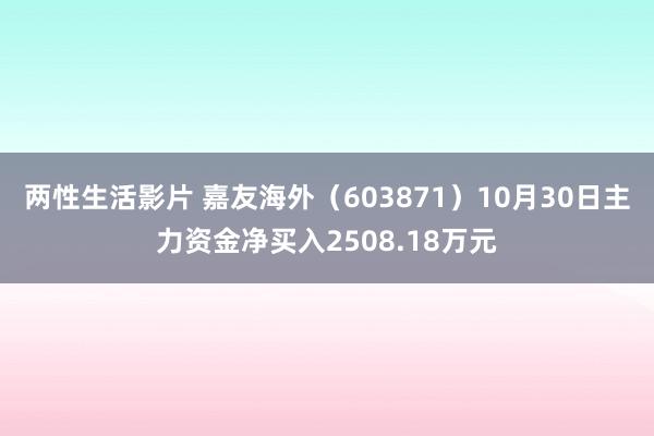 两性生活影片 嘉友海外（603871）10月30日主力资金净买入2508.18万元
