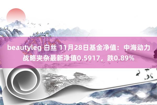beautyleg 白丝 11月28日基金净值：中海动力战略夹杂最新净值0.5917，跌0.89%