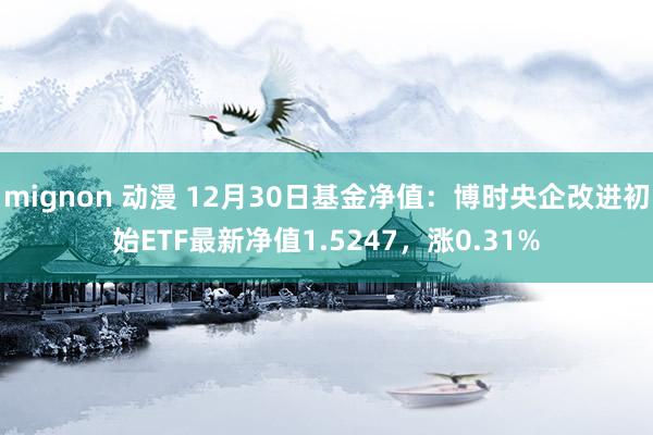 mignon 动漫 12月30日基金净值：博时央企改进初始ETF最新净值1.5247，涨0.31%