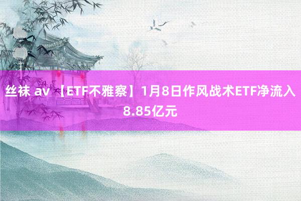 丝袜 av 【ETF不雅察】1月8日作风战术ETF净流入8.85亿元