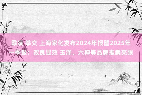 霸凌 拳交 上海家化发布2024年报暨2025年一季报：改良显效 玉泽、六神等品牌推崇亮眼